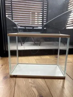 GEX 小型ガラス水槽 スリム　ホワイト