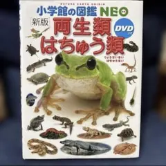 両生類、はちゅう類