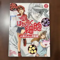 はたらく細胞人体のふしぎ図鑑 からだのしくみを学べる!