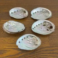 あわびの貝殻