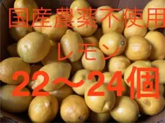 39国産　農薬不使用瀬戸内レモン　　大きめ22〜24個のサムネイル