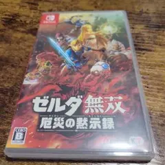 ゼルダ無双 厄災の黙示録 Nintendo Switchのサムネイル