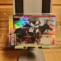 サラブレッドホースコレクション　クロフネ　サイン入り サラブレッドホースコレクション 1r クロフネ サイン入り - メルカリ
