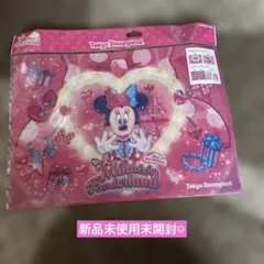 ミニーマウス A4 A5クリアホルダーセット