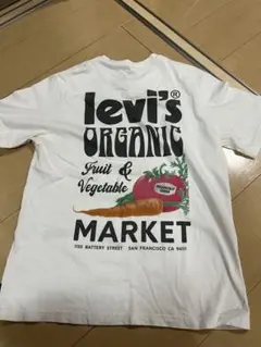 Item thumbnail for item 7045950b-a72f-4069-88cd-995d933c6104