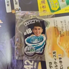 徳島ヴォルティス　渦フェスキーホルダー➂