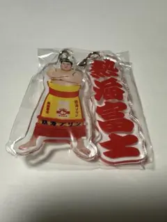 大相撲ガチャ　熱海富士　めじるしアクセサリー