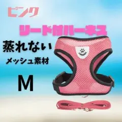 Item thumbnail for item d90aa0a3-7551-426c-848e-bb6ee958965e