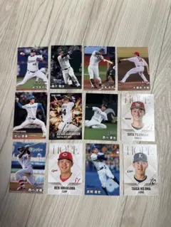 プロ野球 カルビー プロ野球チップス カード 12枚セット