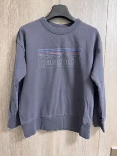 patagonia 黒　Lサイズ 長袖カットソー
