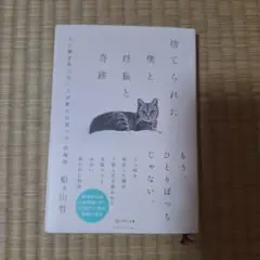 捨てられた僕と母猫と奇跡