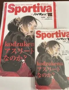 ハイキュー!! ショーセツバン ビジュアルボード 本体セット 孤爪研磨