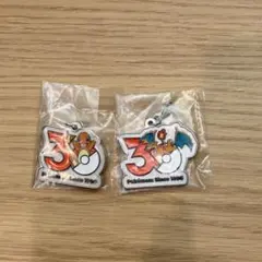 新品 ポケモン 30周年 メタルチャームマスコット リザードン ヒトカゲ