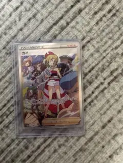 カイ SAR[s12a 236/172]