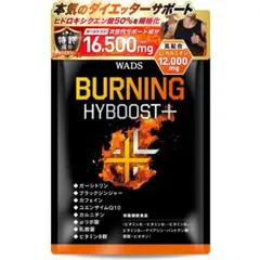 BURNING HYBOST＋ ダイエットサポートサプリのサムネイル