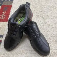 【これが最後】FJ Sport FLEX ZONE 26.5cm（53235J）