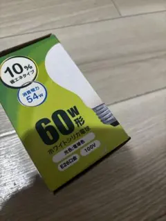 白熱電球 60W形 E26口金 電球色