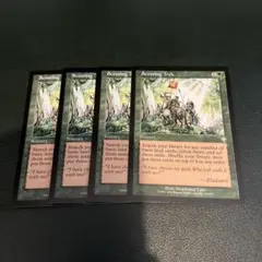 INV 偵察行/Scouting Trek 英語　4枚