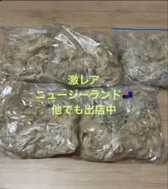 Item thumbnail for item 83ac040a-48f0-4b56-8ff4-eb12161a622b