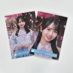 日向坂46 上村ひなの 生写真セット 卒業写真だけが知ってる