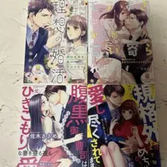 【197】TL小説4冊セット