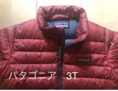 Patagonia キッズ ダウンジャケット 3T