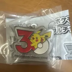 ポケモン 30周年メタルチャームマスコット ピカチュウ