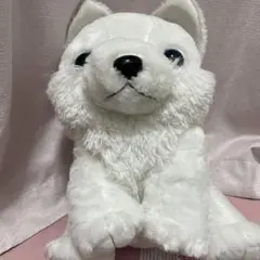 2026年最新】もふっとオオカミの人気アイテム - メルカリ