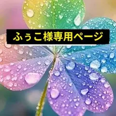 ふぅこ様専用ページ