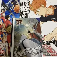 劇場版 ハイキュー!! ゴミ捨て場の決戦 入場者特典 第5弾 フライヤー 2種