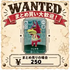 ツンドラ　amiibo あつ森　アミーボカード　①