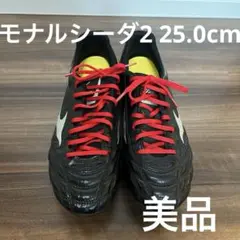 MIZUNO モナルシーダ 25.0