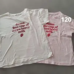リセマイン Tシャツ２枚セット120