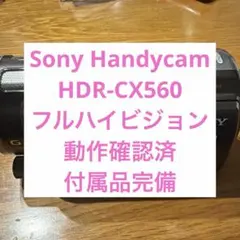 2026年最新】hdr-cx560vの人気アイテム - メルカリ