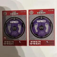 サンフレッチェ広島 SANFRECCE マンホールカード 2020年デザイン