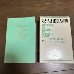 現代独独小辞典 - メルカリ