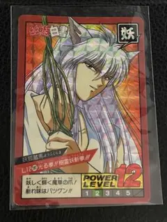 幽遊白書　カードダス　妖狐蔵馬 幽遊白書 カードダス 妖狐蔵馬&黒鵺 - メルカリ