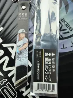益田直也 250セーブ記念ボンフィン 千葉ロッテマリーンズ