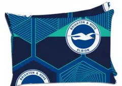 【超貴重】ブライトン　Brighton & Hove Albion 枕カバー三笘