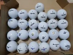 HONMA &B.その他ディスタンス系ロストボール(25個)