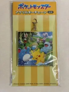 ポケットモンスター　アクリルキーチェーンポケモン　キーホルダー