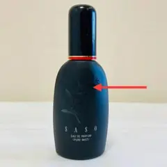 2026年最新】沙棗の人気アイテム - メルカリ