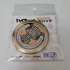 ハイキュー スクールギラギラ缶バッジ 烏野高校