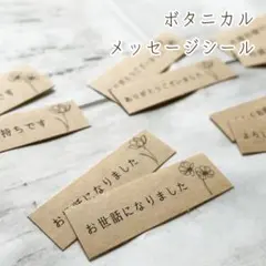 マステサイズ ボタニカルメッセージシール ⚘*.