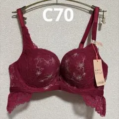 C70 赤 アモスタイル ドリーミーポインセチア ホープブラ ブラのみ 新品