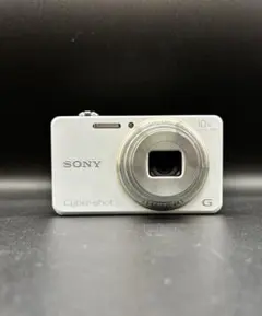 2026年最新】sony dsc-wx100の人気アイテム - メルカリ