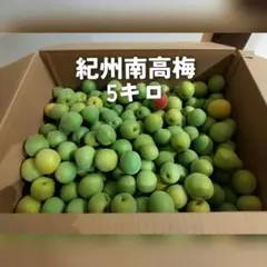 2026年最新】和歌山県産梅の人気アイテム - メルカリ