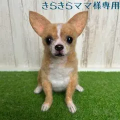 ★きらきらママ★羊毛フェルト【スムースコートチワワ】犬　オーダーメモリアル ☆きらきらママ様専用☆羊毛フェルト【スムースコートチワワ】犬