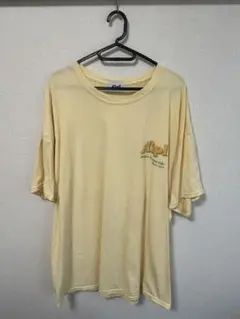 【貴重】　Aipl Tシャツ