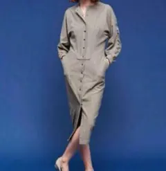 シンゾーン　ワンピースのサムネイル